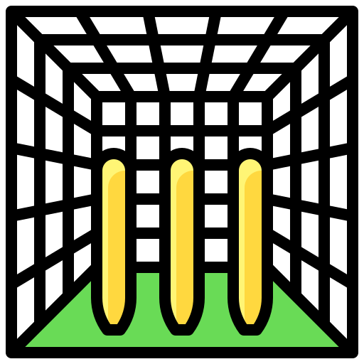Cricket Net